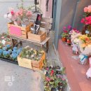 라채움