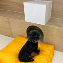 견생낙원 이미지