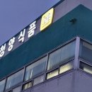 싸인채널