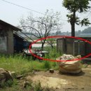 운정1리마을회관 이미지