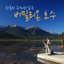 버밀리온