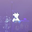 원더로크 홀 | [공연 후기] "숨 쉴 틈이 없다!" 셰본(Chevon) 4월 11일 원더로크홀 직관 후기 (미친 텐션, 셋리스트)