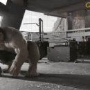 어벤져스1 명장면 : 헐크 "Puny god".gif 이미지