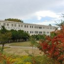 태광당구장 이미지