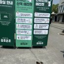 봄강아지 티스토리