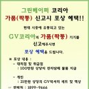 GV전자담배그린베이퍼