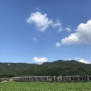 충간공보물제651호박물관 이미지