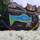 행정사신정호사무소 이미지