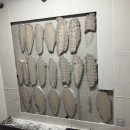 동천센트럴자이 이미지