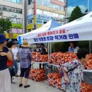 장터회관 수원시민신문