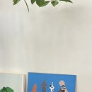 쉐즈롤