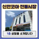 신안코아 이미지