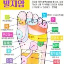 성산노인복지센터 이미지