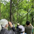 소품바구니 DIY체험 이미지