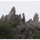 비슬산휴양림주차장 이미지