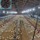 영남축산 이미지