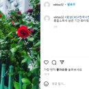 세무법인조이 이미지