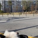 365동물병원 위례점 이미지