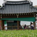 창정리 이미지