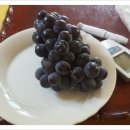 한일아파트경로당 이미지