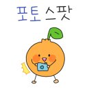 인생네컷동탄 - 화성시 동탄대로 181 | 인생네컷동탄