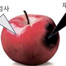 갑상선결절을 조직검사하여 비정형세포로 나온 경우 이미지