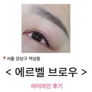 역삼-1296 | 에르벨브로우 아이라인 이제 편하고 빠르게 그려요