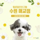 털로덮인친구들 수원매교점 이미지