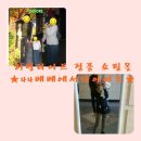 비디랩 다이어트 후기/비디랩 다이어트 효과♪