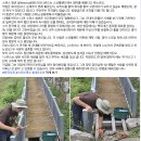스위스에서 온 청년 목수 리오나르도 이미지