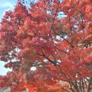 상진대교 밑 이미지