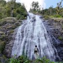 앙드레농장 이미지