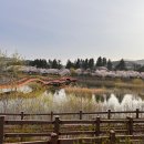 고전으로 보는 한문 | 이마두利瑪竇와 고일지高一志의 사행四行