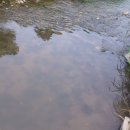 과천역 5번 출구 이미지