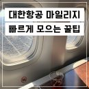 삼포주유소 | 대한항공 마일리지 적립, 빨리 모으는 방법, 카드 추천, 상테크