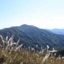 방화동가족휴가촌 자동차야영장 이미지