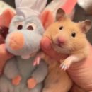 양재천 수변무대4 | 🐹 빵지순례!!! 양재 편 💕(내돈내산)