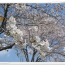 광주 천변길4 이미지