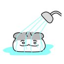 곰팡이와단열