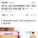 경기도, 성남 분당제생병원 고발···'감염병 예방 혼선·피해 유발' 이미지