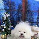 청능대로23번길 이미지