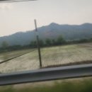 신동해반점 이미지