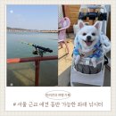 두진슈퍼 | 하늘바다 낚시터 출조 후기 (+ 가는 길 만수 E 낚시 슈퍼 들른 이유) ㅣ 애견동반 가능한 낚시터