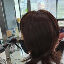 대전가발전문점(에띠모 / 긴머리가발 / 패션가발)시착후기