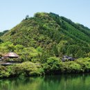 동양특수목재(주) 이미지