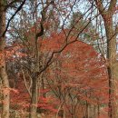 인천미래생활고등학교 이미지