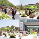 전국야생화전시회 네이버블로그