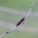 김제농장 이미지