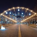 그린조명