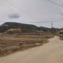현수리
